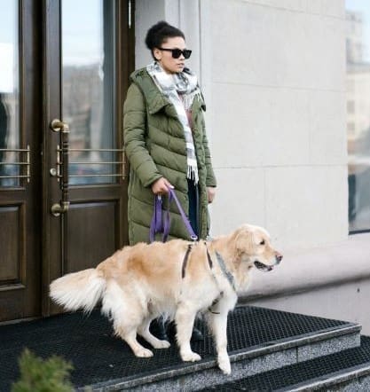 blind person’s rights in Israel - blind woman with guide dog